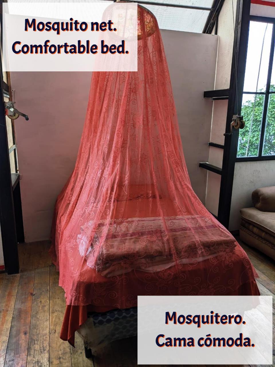 Gran Colibri Adventure Park Hostel ซานเปโดร ลาลากูนา ภายนอก รูปภาพ