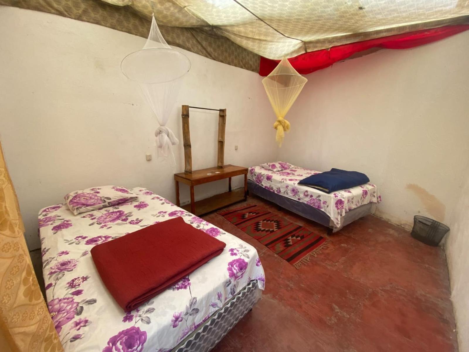 Gran Colibri Adventure Park Hostel ซานเปโดร ลาลากูนา ภายนอก รูปภาพ