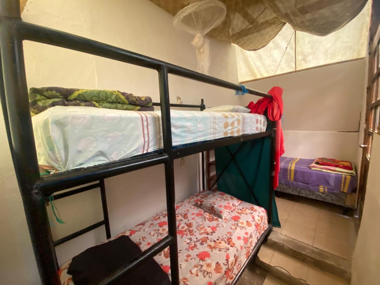 Gran Colibri Adventure Park Hostel ซานเปโดร ลาลากูนา ภายนอก รูปภาพ